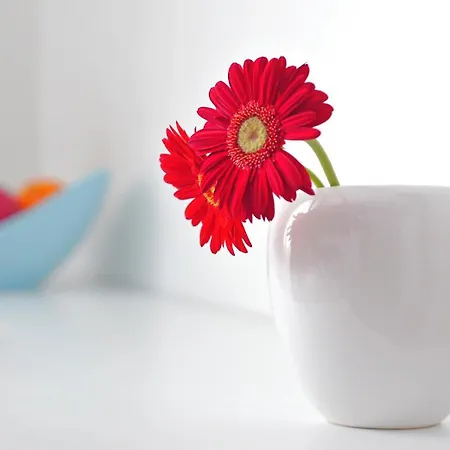 A&m 앤 룸 스플리트